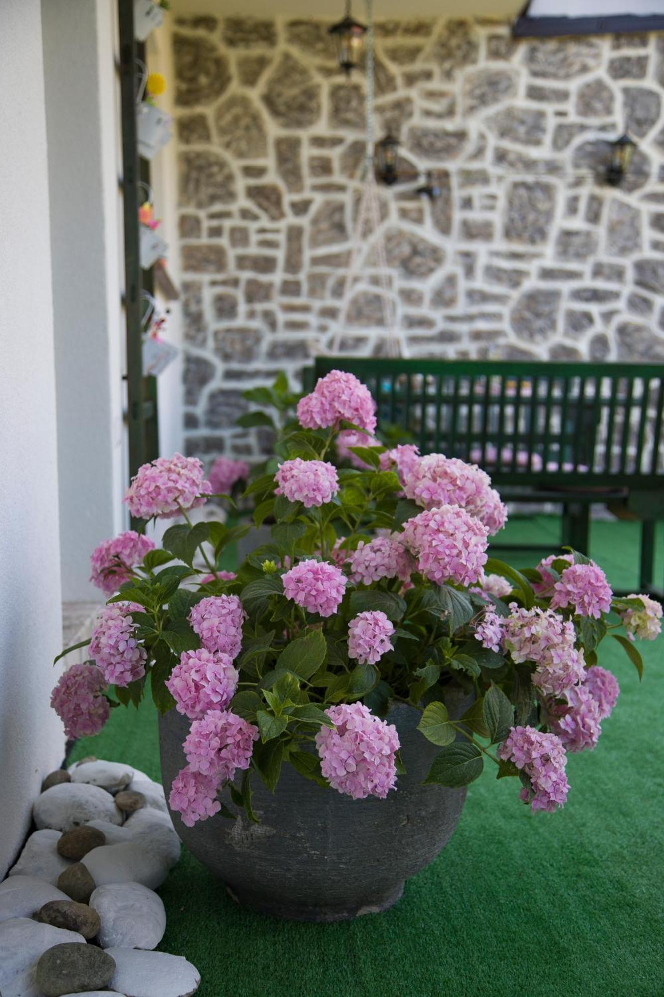 Apartman Flumen Mostar Exterior photo